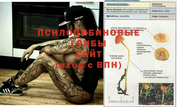 кокаин премиум Михайлов