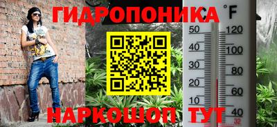 трава Берёзовский