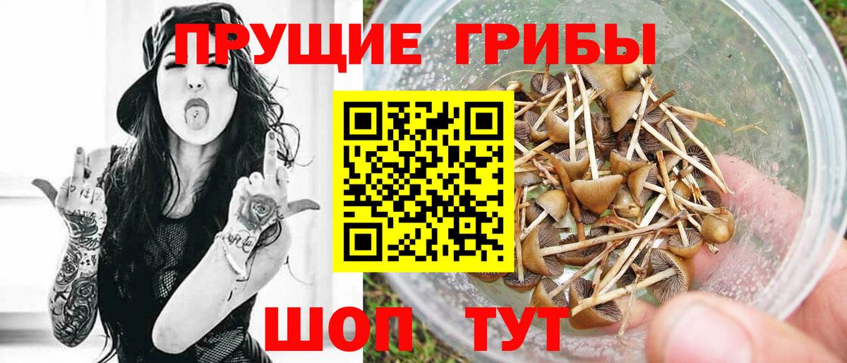 Псилоцибиновые грибы мухоморы  Галлюциногенные грибы Magic Shrooms  Железноводск 