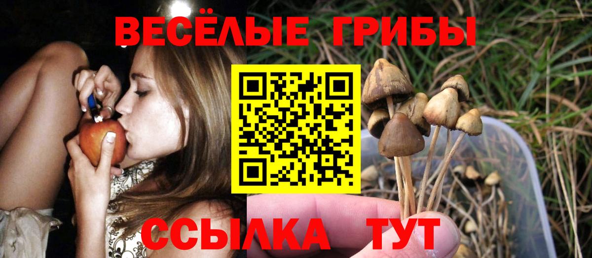 Галлюциногенные грибы MAGIC MUSHROOMS Железноводск