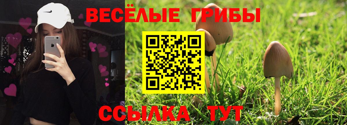 Железноводск  Галлюциногенные грибы Cubensis  Вход с VPN  Псилоцибиновые грибы GOLDEN TEACHER 