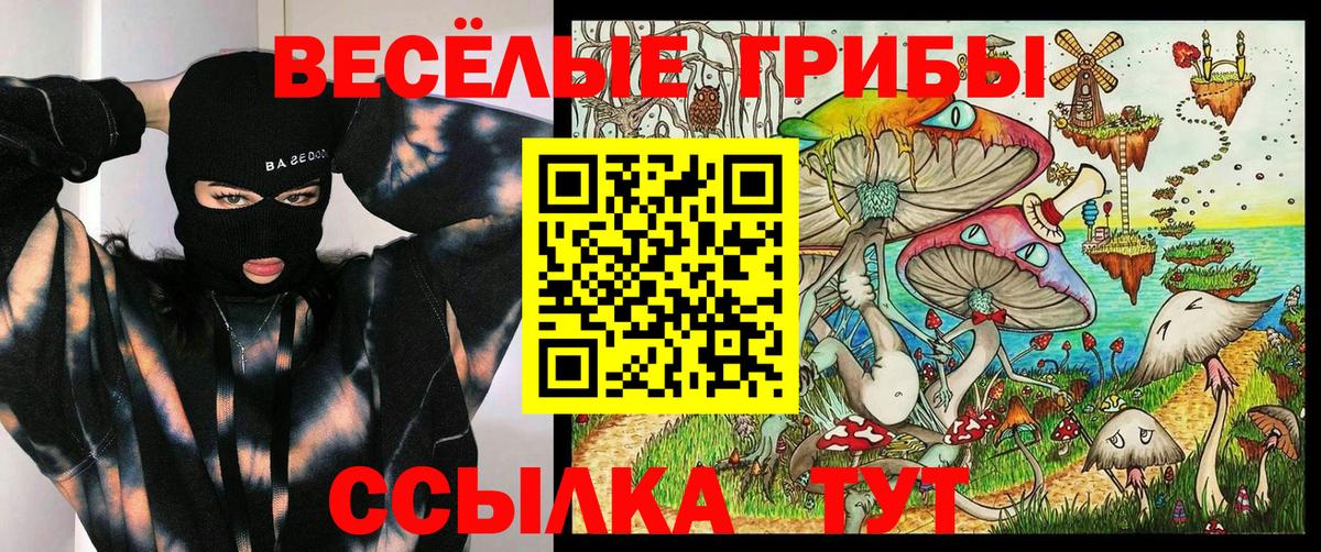 Галлюциногенные грибы мухоморы Железноводск