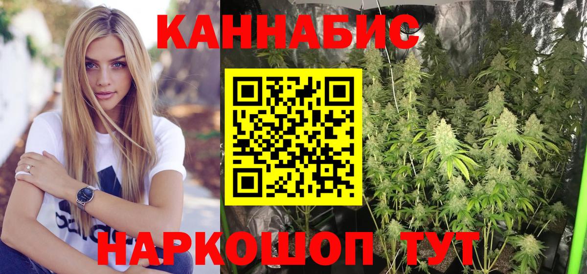 Конопля конопля  Шишки марихуана Bruce Banner  Железноводск  МАРИХУАНА ГИДРОПОН  Канабис VHQ 